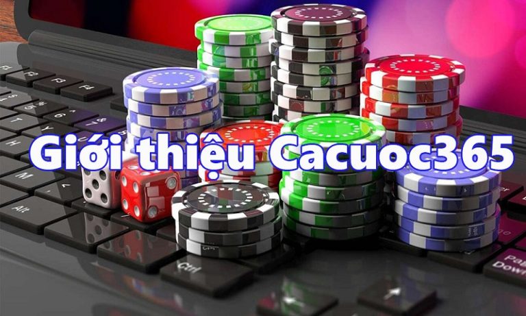 Khám Phá 6686: Trải Nghiệm Máy Chủ Thử Nghiệm Liên Quân Hấp Dẫn