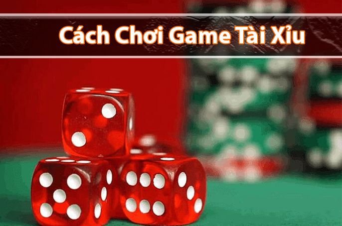 Khám phá 6686: Nền tảng trang cá cược bóng đá dkbl uy tín hàng đầu