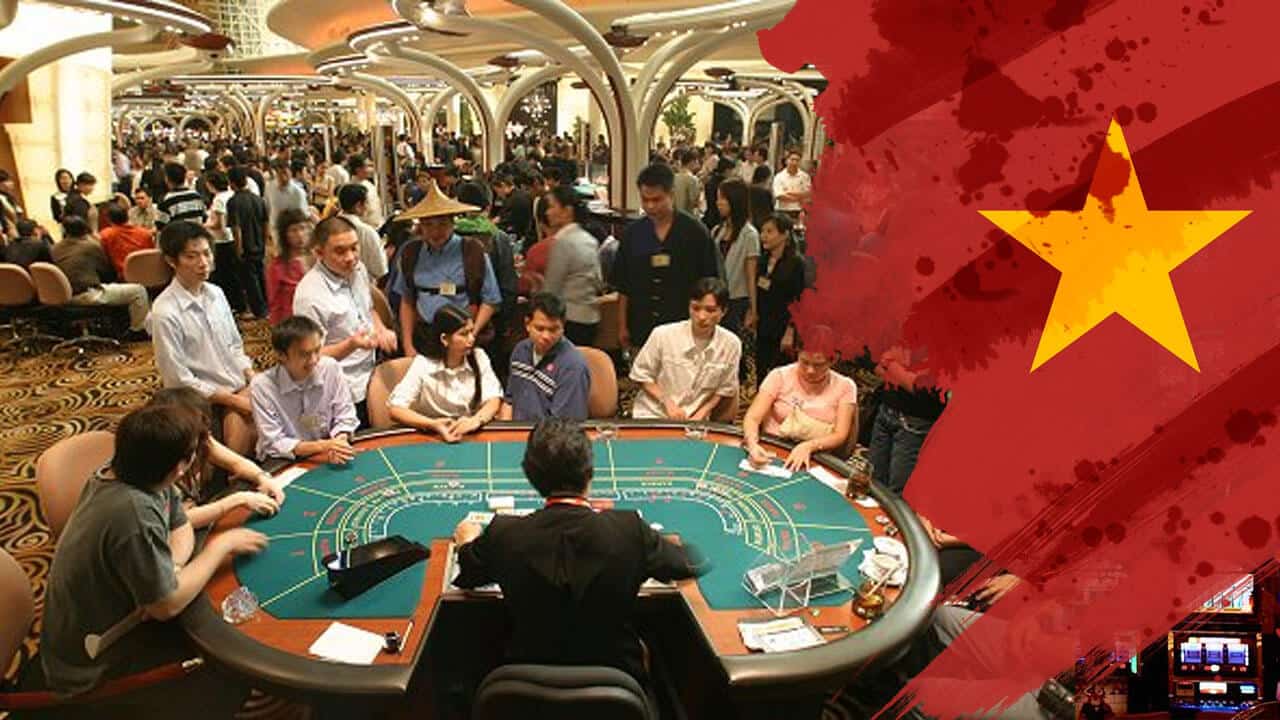 Khám phá những điều thú vị cùng 6686 tại Wild Wild Joker!
